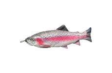 Fladen Fisch Kissen Soft Rainbow Trout 65cm