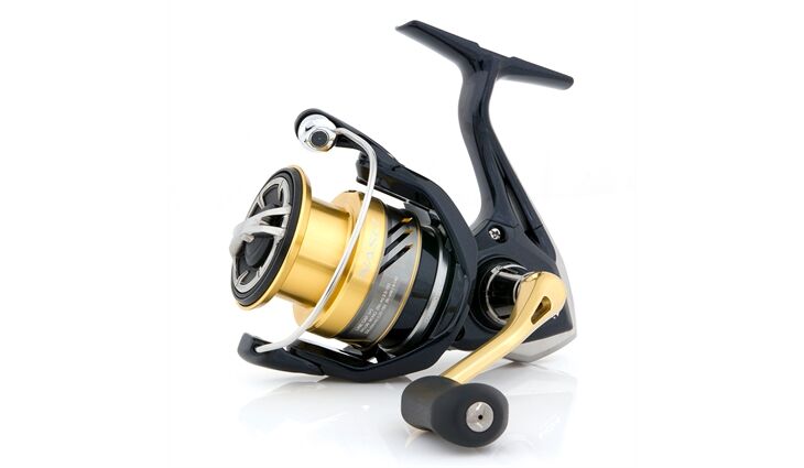 Shimano NASCI FB